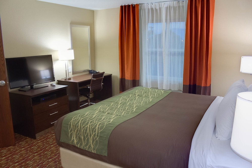 Suite, 1 King Bed with Sofa bed, Non Smoking photo 3