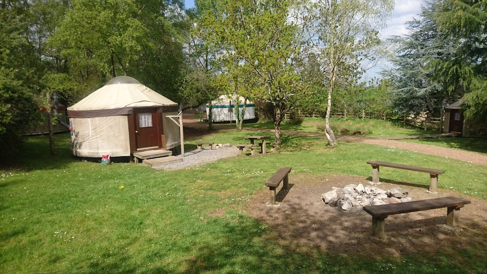 Small Village Yurt photo 1