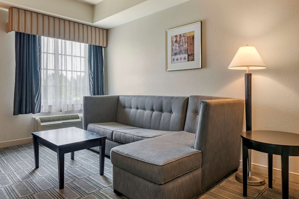 Suite, 1 King Bed with Sofa bed, Non Smoking (Efficiency) - Photo 3