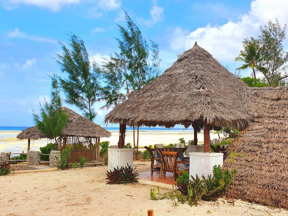 Beach Houses