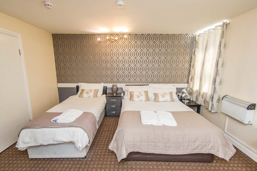 Deluxe Studio, Multiple Beds photo 3