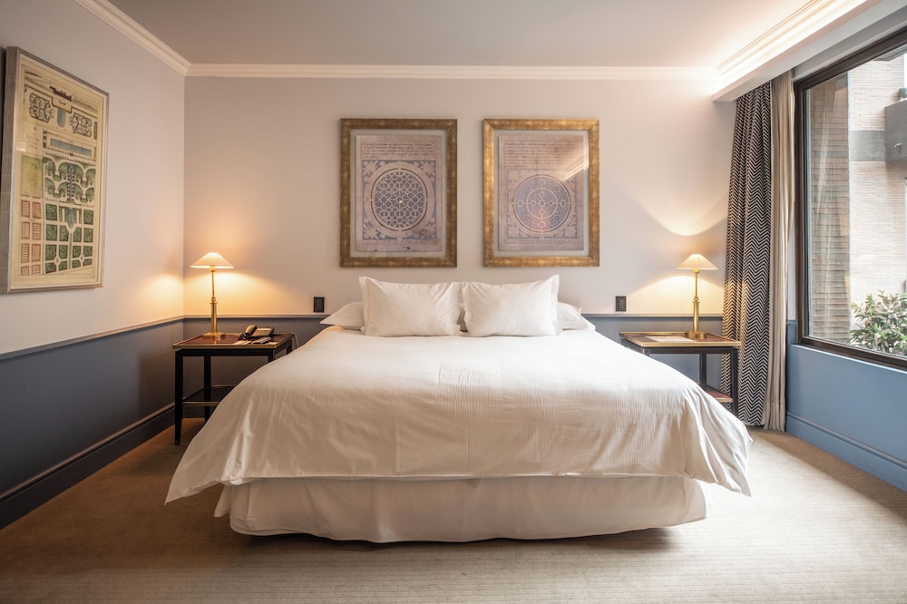 Room, 1 King Bed (The Singular)