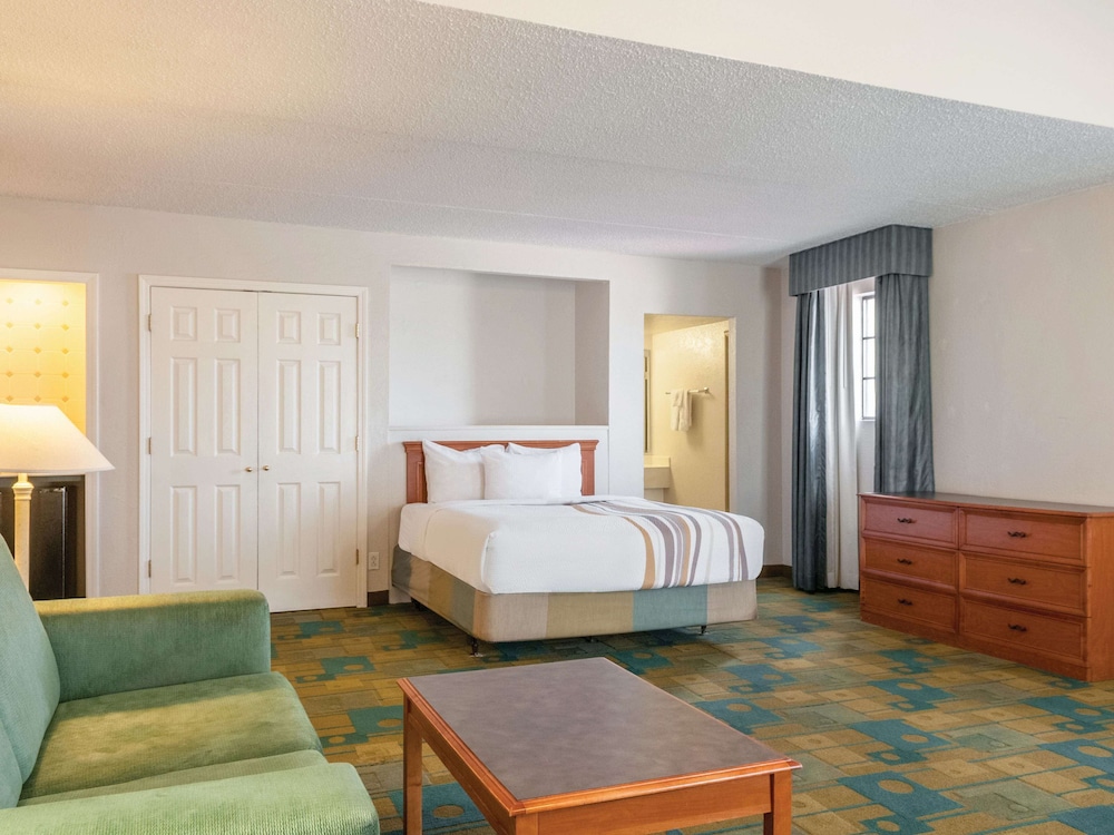 Suite, 1 Queen Bed photo 3