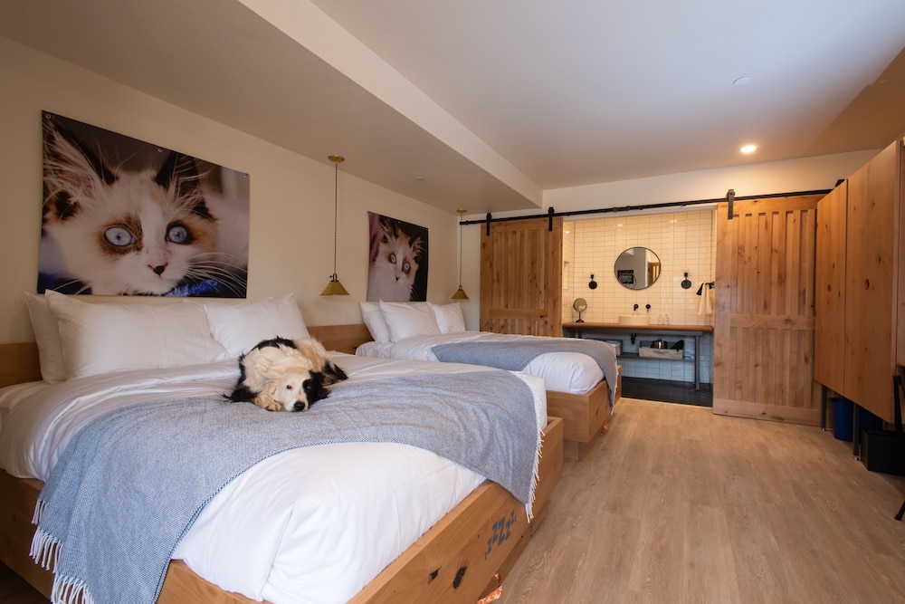 Standard Room, 2 Queen Beds (Standard Double Queen)