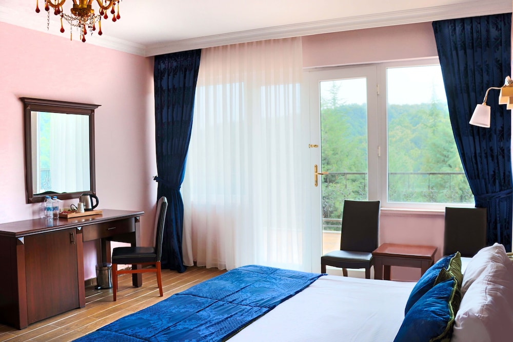 Exclusive Suite, Sauna, Mountain View photo 3