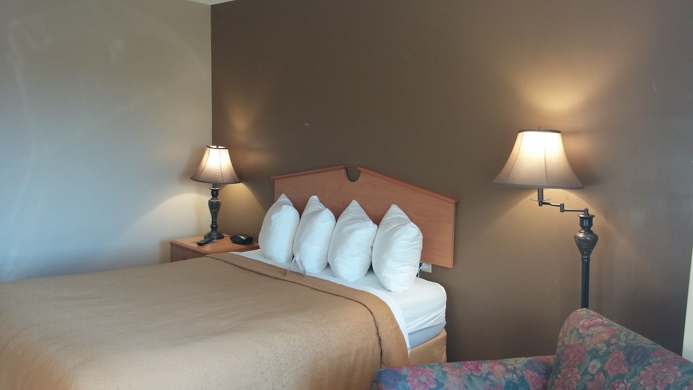 Room, 1 Queen Bed photo 1