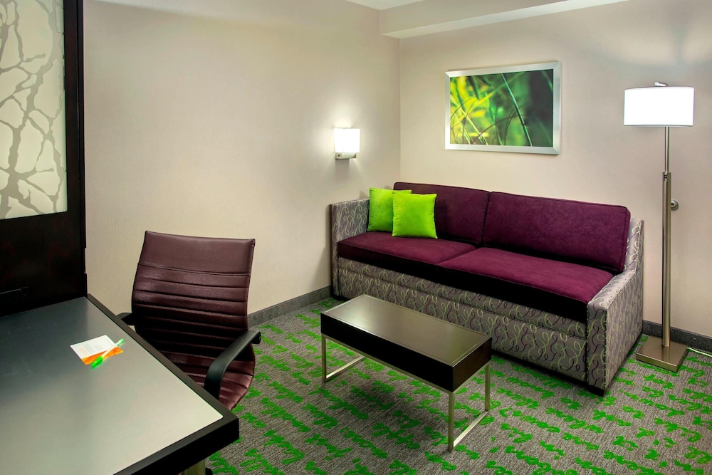 Executive Suite, 1 King Bed (View) photo 3
