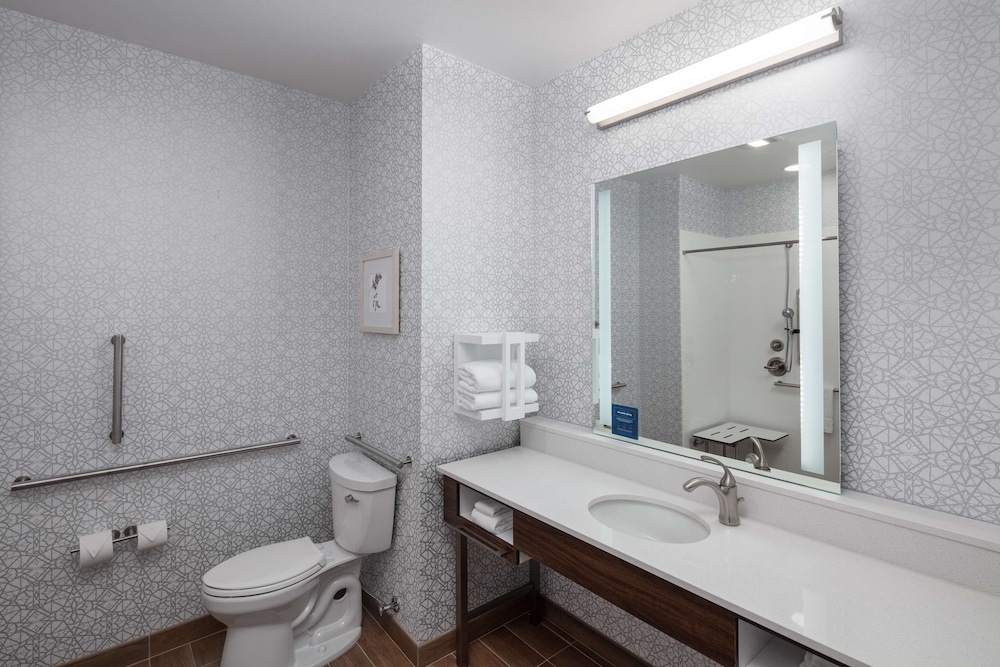 Room, 1 King Bed, Accessible (Mobility & Hearing, Roll-In Shower)