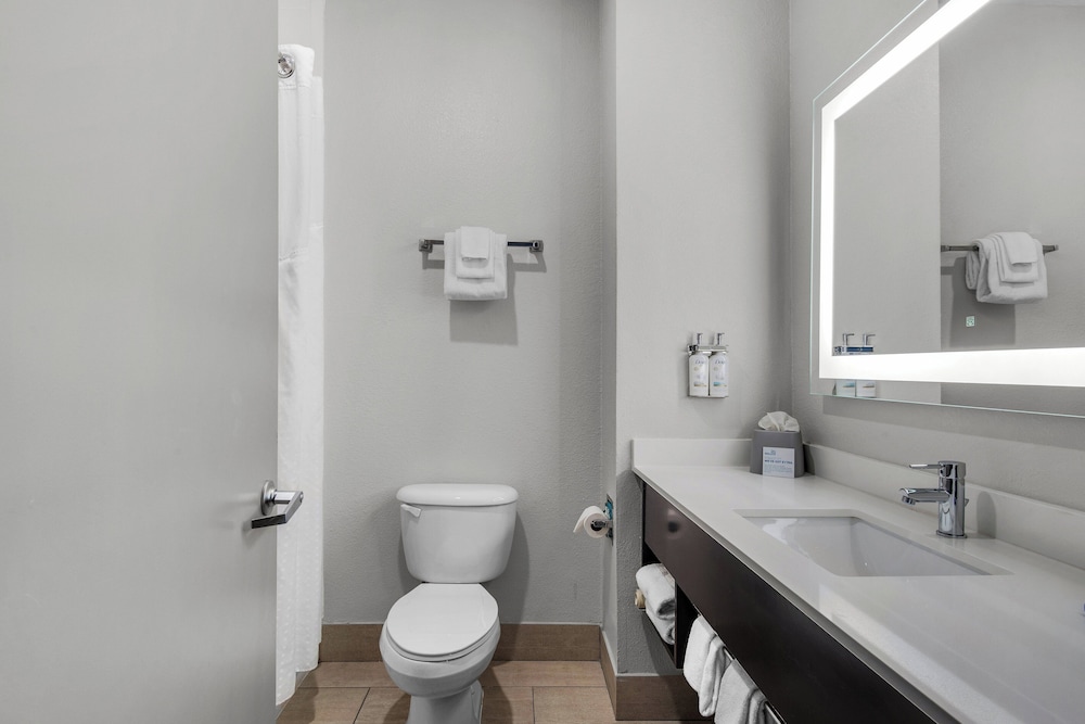 Suite, 1 King Bed, Accessible (Communications Accessible) - Photo 11