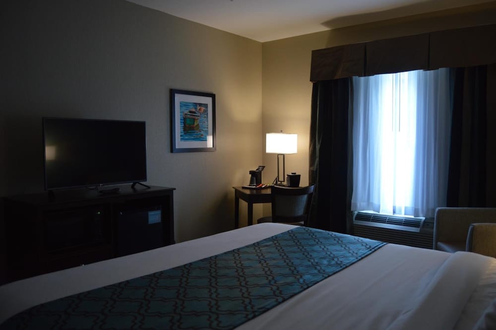 Basic Room, 1 King Bed, Refrigerator & Microwave photo 3