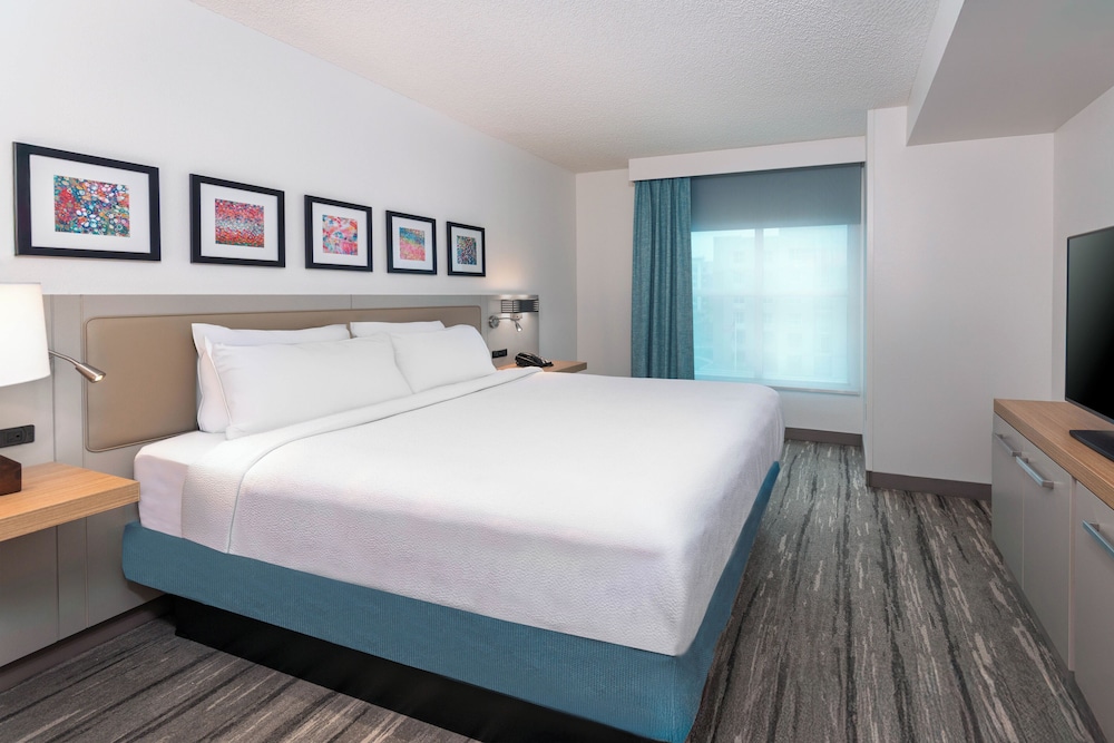 King Evolution Suite - Photo 3