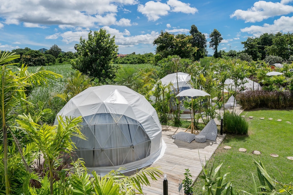 Glamping Dome - Photo 7