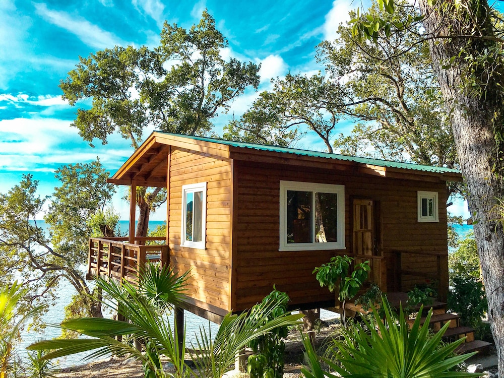 Luxury Tree House, 1 King Bed, Sea View photo 3