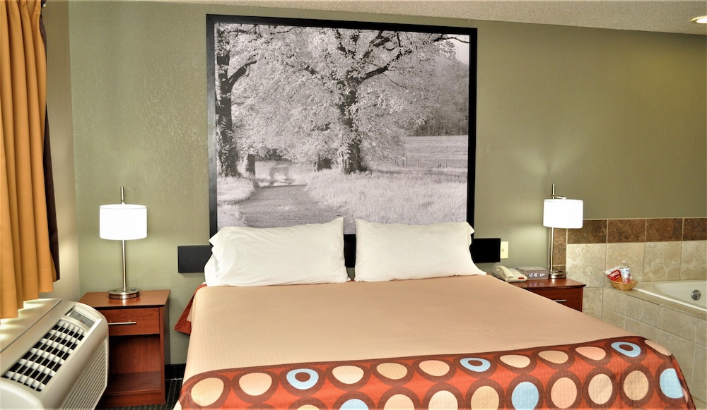 Premier Studio Suite, 1 King Bed, Non Smoking (Pet-Friendly) - Photo 2