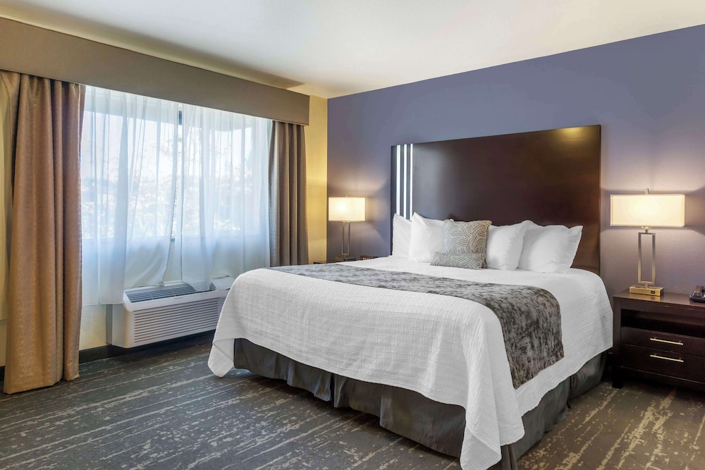 Standard Room, 1 King Bed, Non Smoking, Jetted Tub - Photo 3
