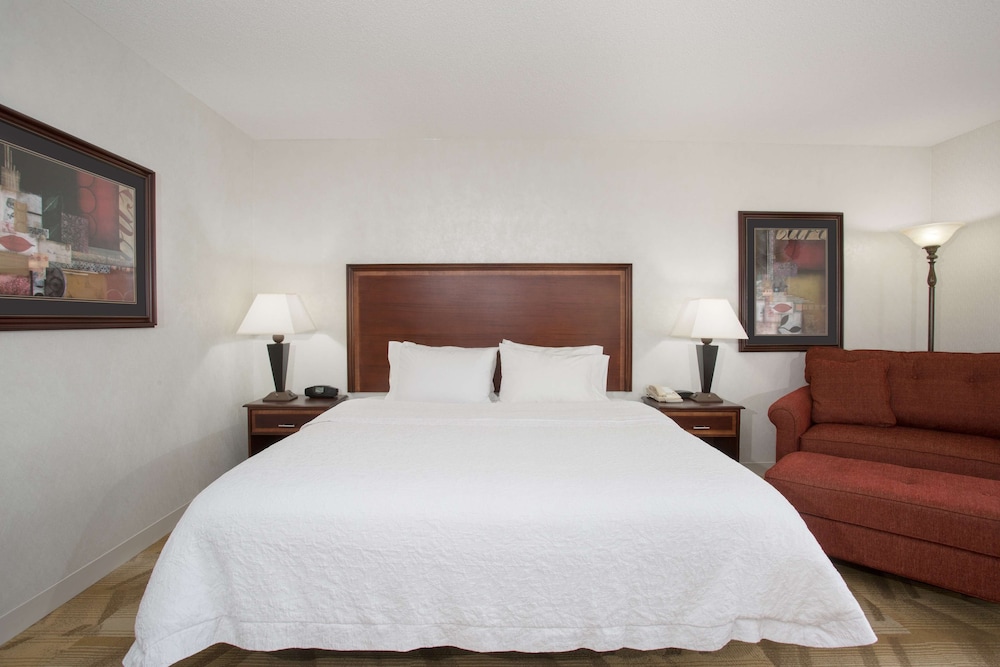 Suite, 1 King Bed, Accessible, Non Smoking - Photo 4