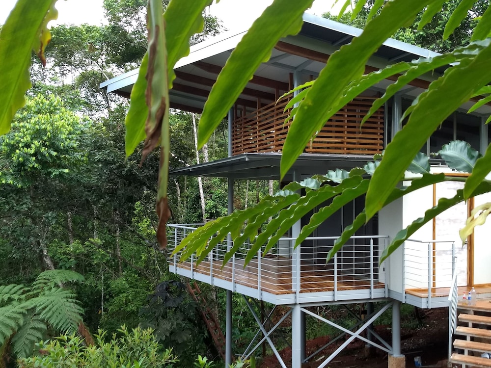 Canopy Suite photo 2