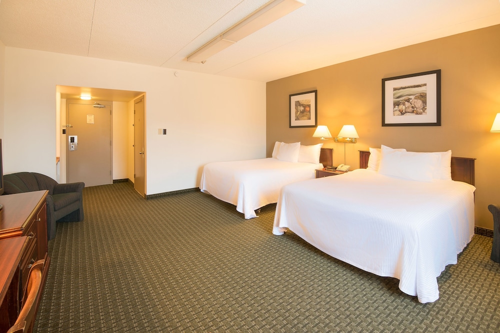 Room, Multiple Beds, Non Smoking photo 3
