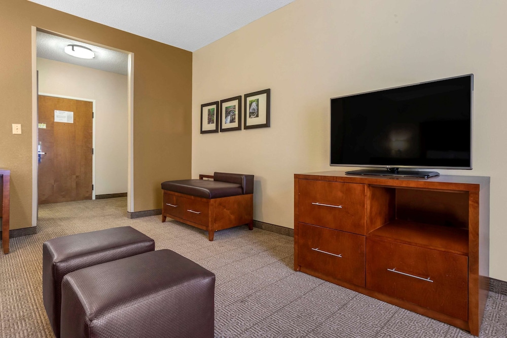 Suite, 1 King Bed with Sofa bed, Non Smoking (Upgrade) photo 3