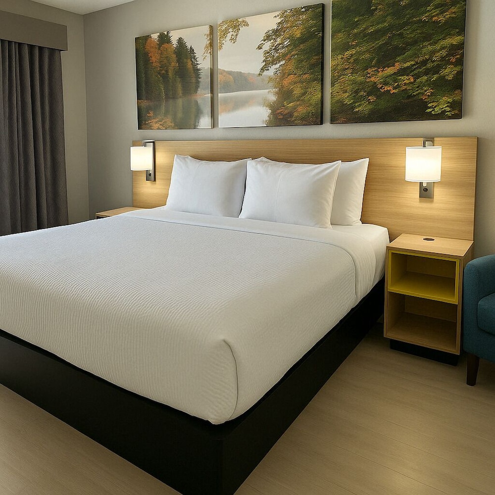 Room, 1 King Bed, Mobility Accessible, Non Smoking (Bathtub w/ Grab Bars) - Photo 5