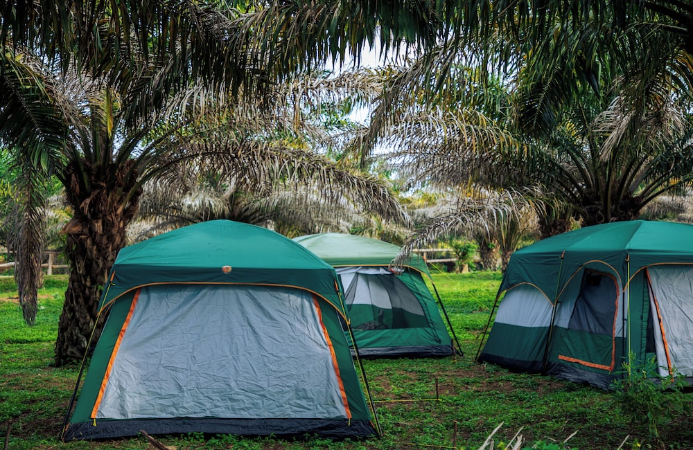 Basic Tent, Lake View