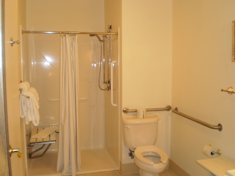 Classic Room, 1 King Bed photo 3