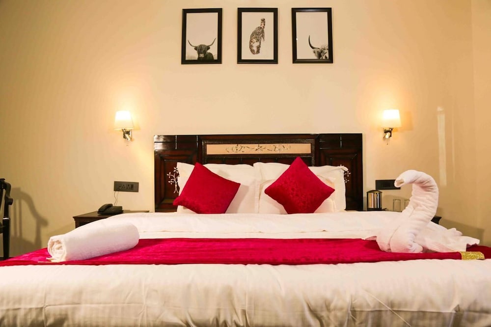 Deluxe Room - Photo 4