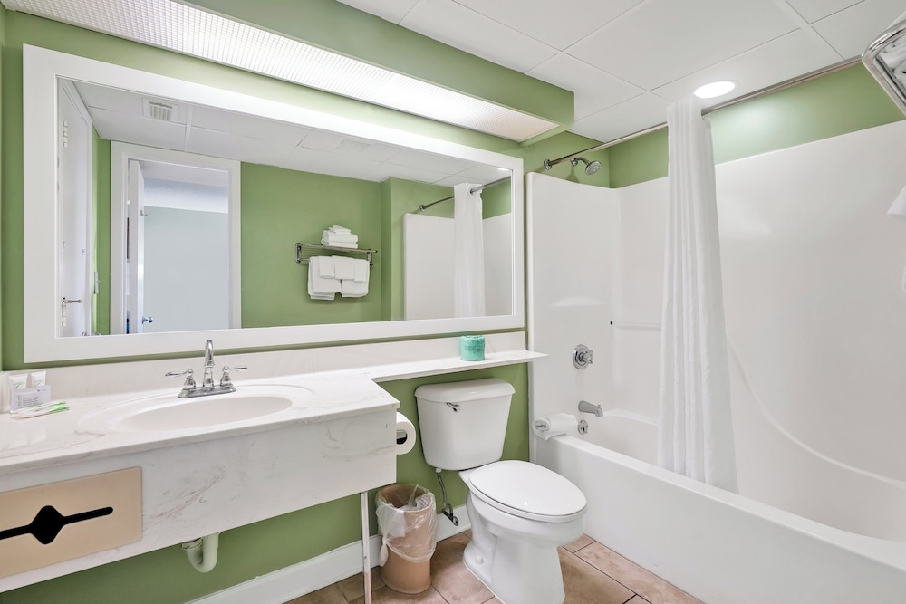 Suite, 1 Bedroom - Photo 6