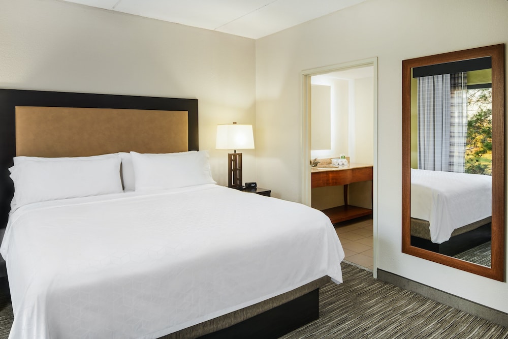 Suite, 1 King Bed (Additional Living Area) - Photo 2