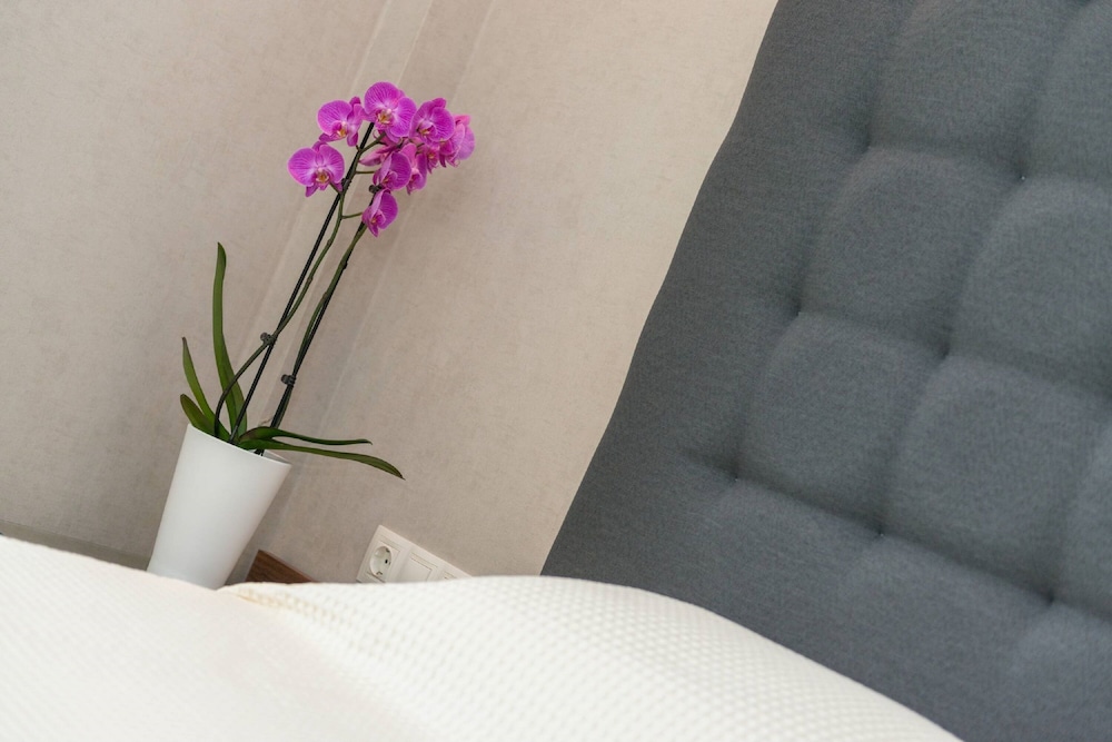 Family Suite - Photo 4