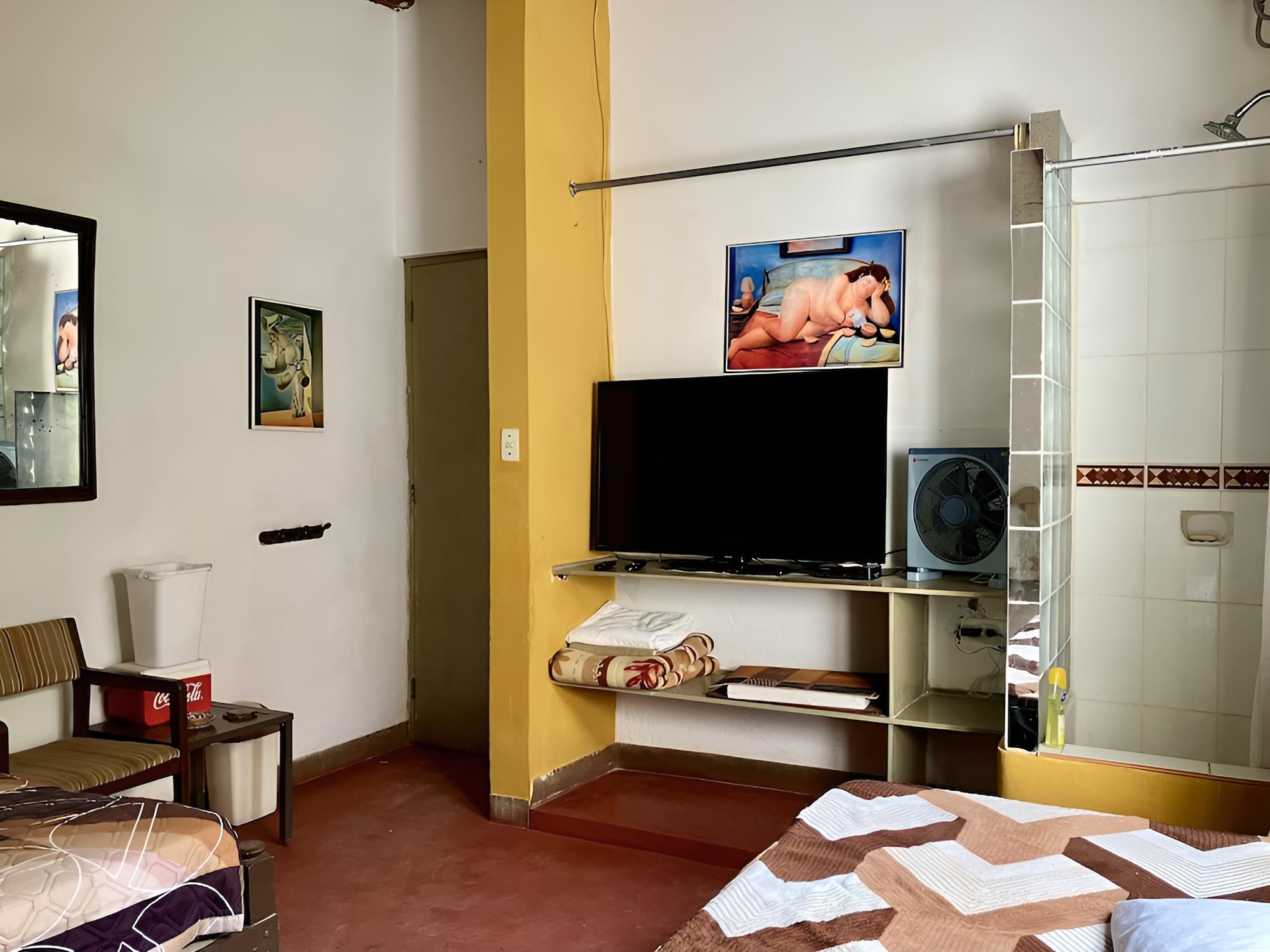 Premium Suite, 1 King Bed, Garden View photo 3