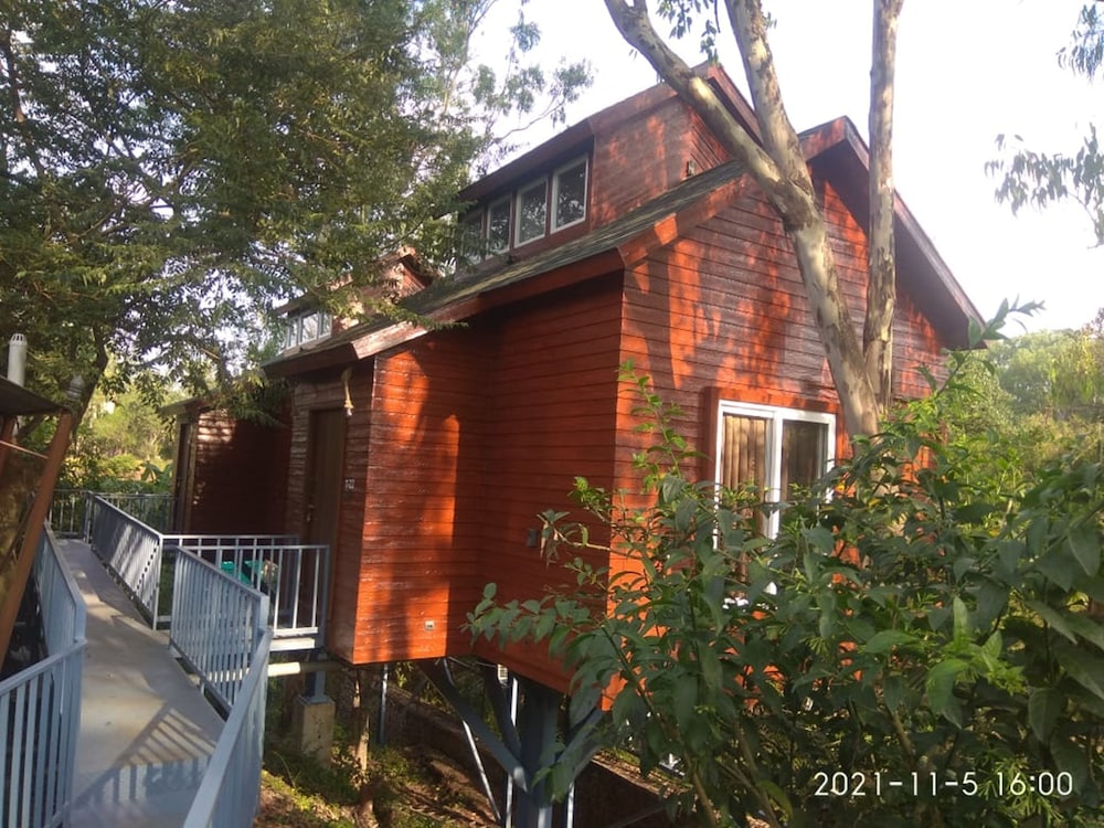 Tree House Suite photo 1
