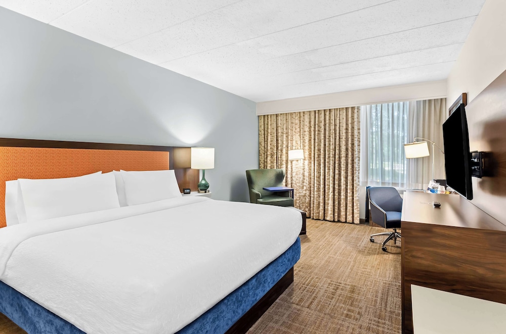 Room, 1 King Bed, Accessible, Non Smoking - Photo 4