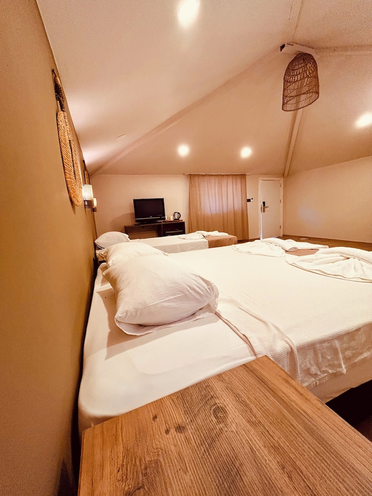 Classic Triple Room photo 2