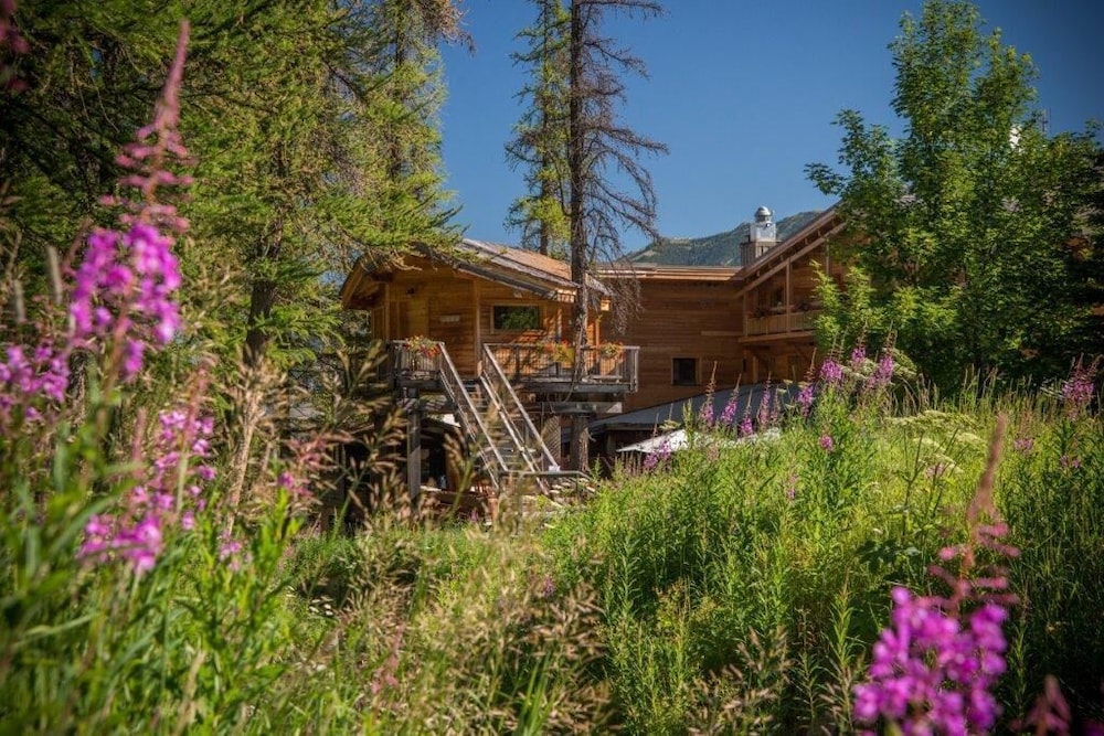 Premium Tree House photo 2