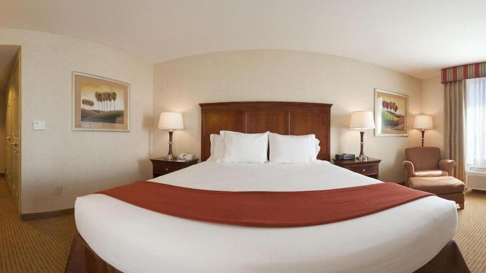 Suite, 1 King Bed with Sofa bed - Photo 3