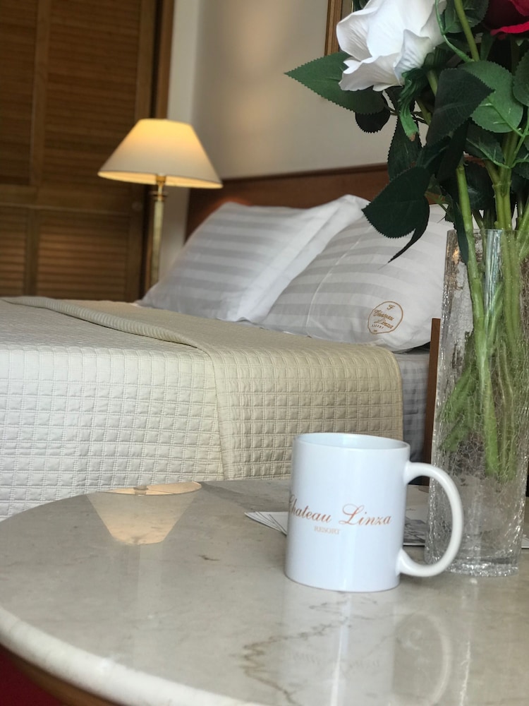 Superior Single Room, City View
