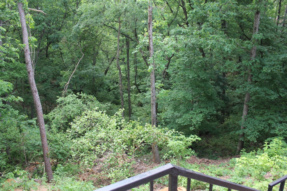 Luxury Suite, 1 King Bed, Jetted Tub, Mountain View photo 1