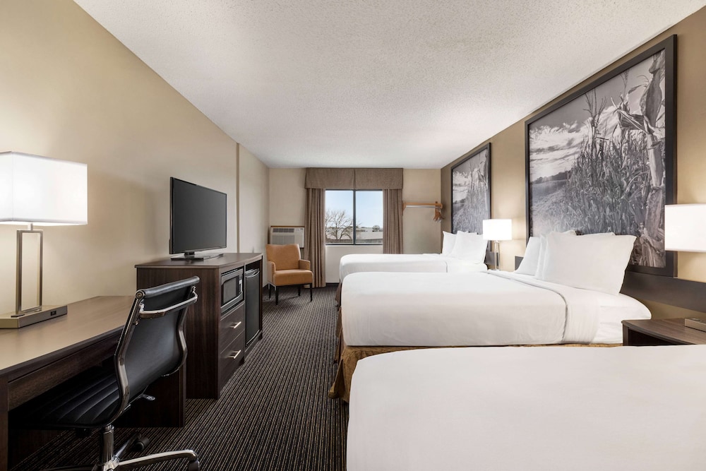 Room, Multiple Beds, Non Smoking photo 3