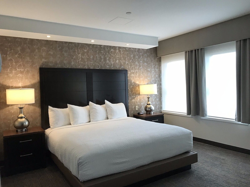 Studio, 1 King Bed