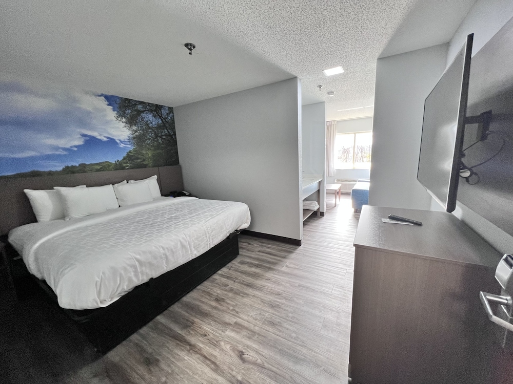 Suite, 1 King Bed with Sofa bed, Balcony, Lake View (Non Smoking) photo 3