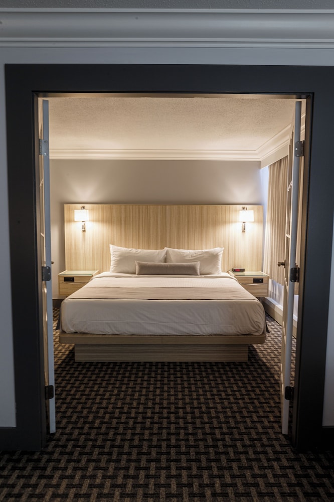 Premium Suite - Photo 14