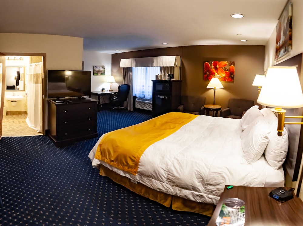 Standard Single Room, 1 King Bed, Accessible, Non Smoking photo 3