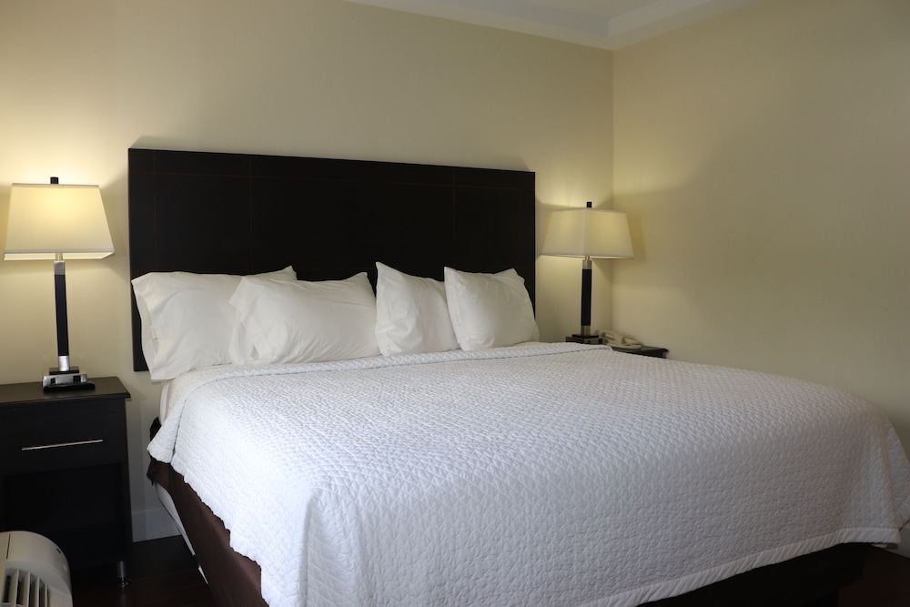 Deluxe Studio Suite photo 2