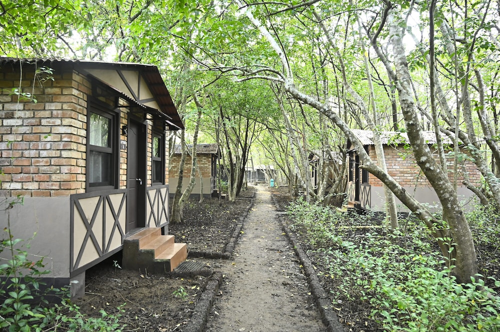 Premium Cabin photo 1