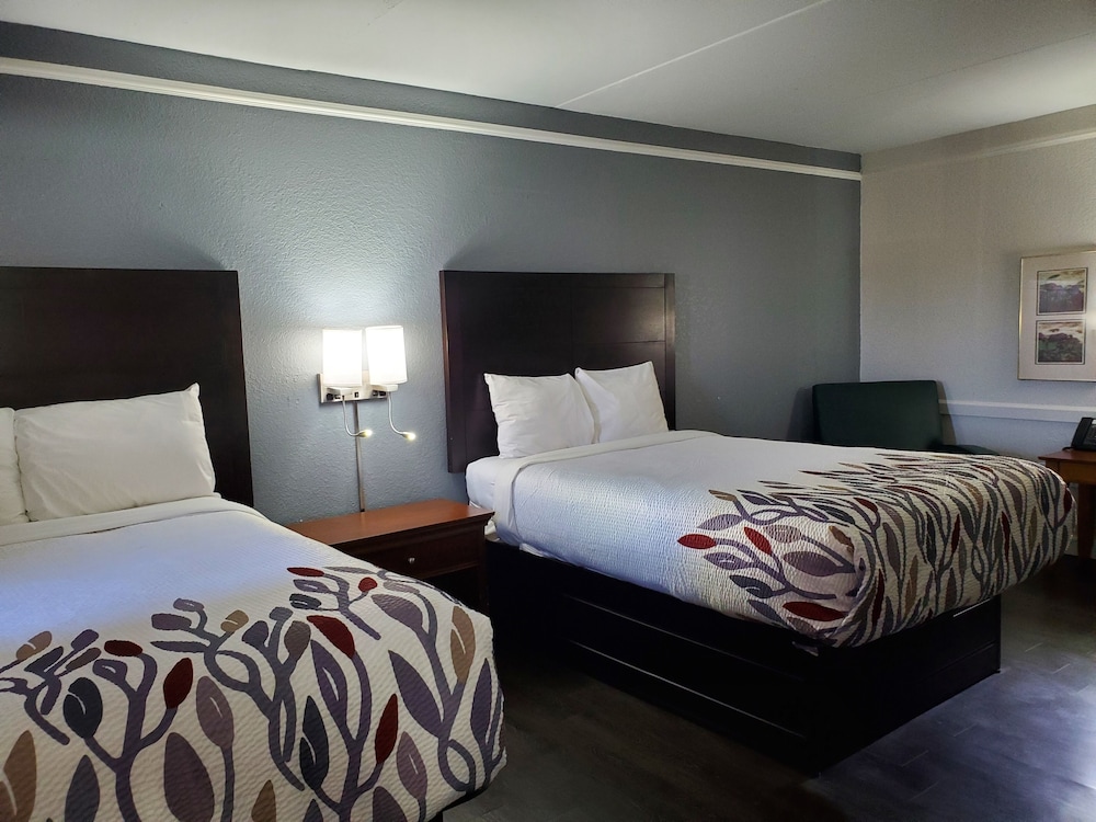 Deluxe Double Room, 2 Queen Beds, Non Smoking, Refrigerator & Microwave photo 3