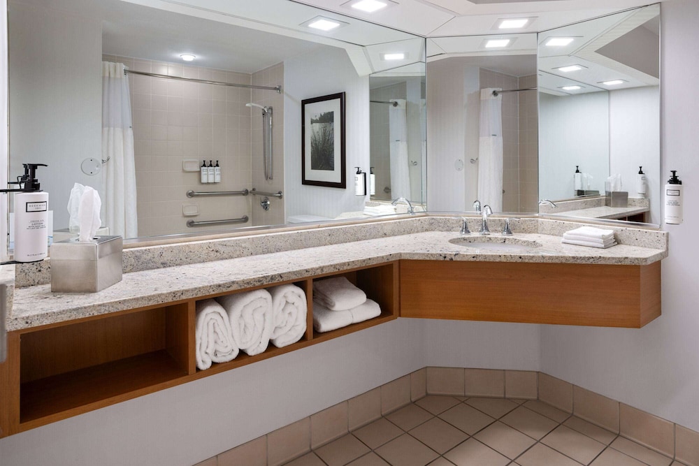 Room, 1 King Bed, Accessible, Bathtub - Photo 5