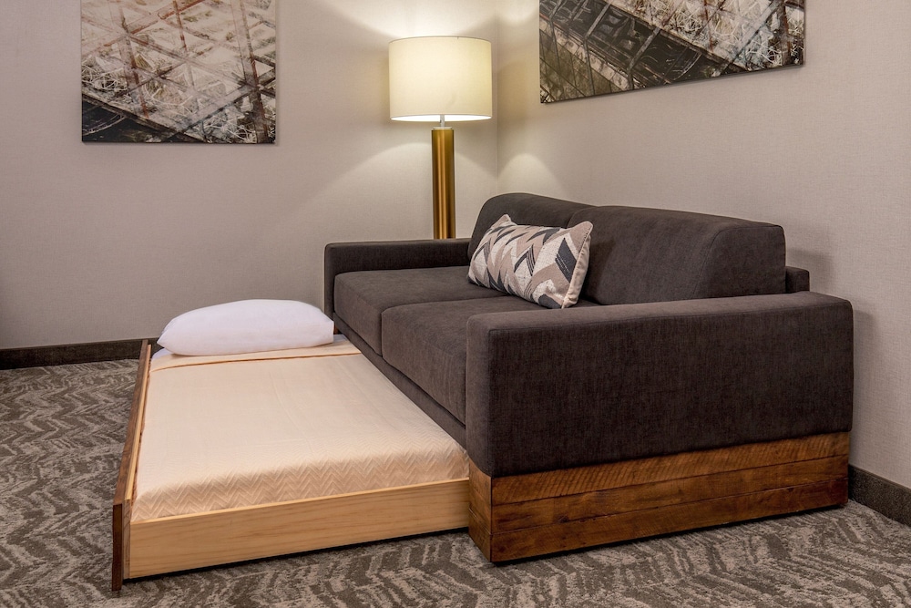 Studio Suite, 1 King Bed with Sofa bed - Photo 8