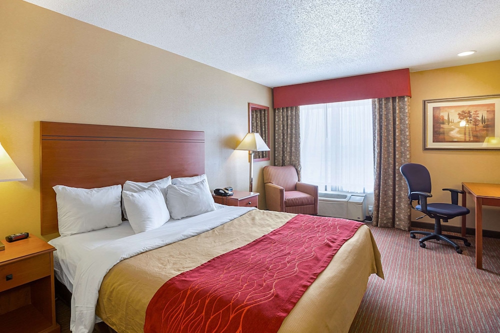 Standard Room, 1 King Bed, Non Smoking - Photo 4