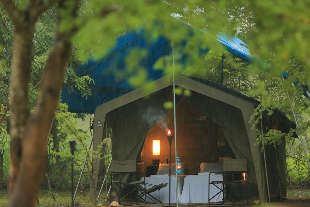 Glamping bordering Yala with a Guided Bush Walk photo 2